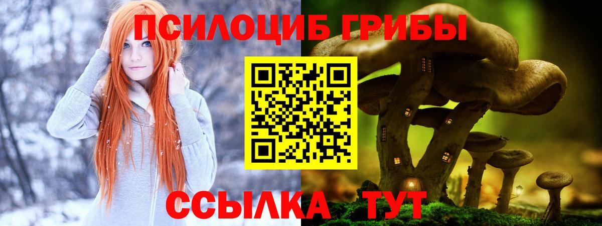 Азнакаево  Галлюциногенные грибы Cubensis  Вход с VPN 